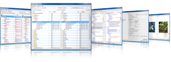 <oXygen/> XML Diff